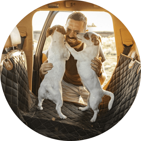 2dogs-min